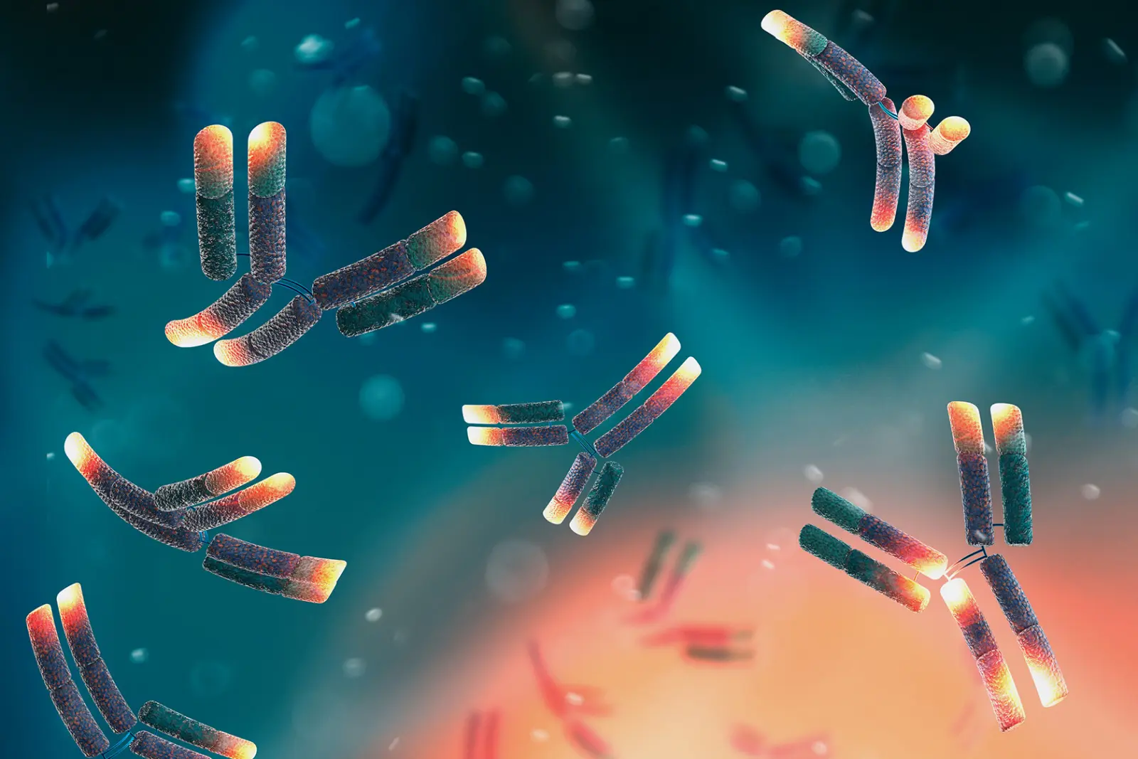 Monoclonal antibodies: From screening to production | INFORS HT
