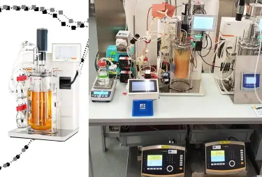 Cell culture in the bioreactor: A practical guide to process ...