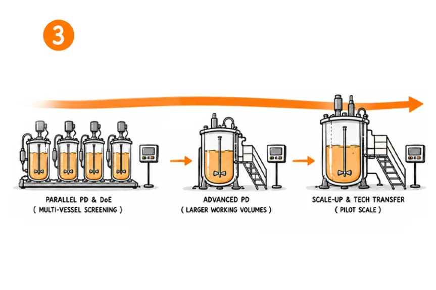 Cell culture in the bioreactor: A practical guide to process ...